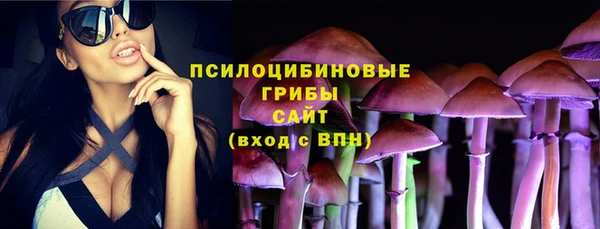 альфа пвп Бугульма
