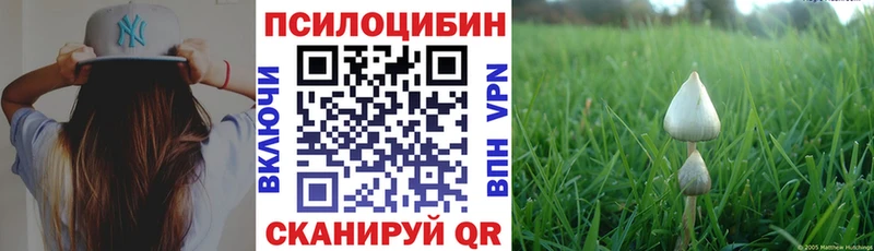 Псилоцибиновые грибы мицелий  Гагарин 